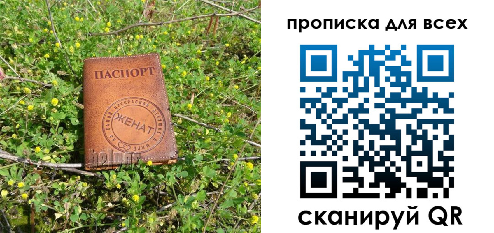 прописка поиск в Тогучине